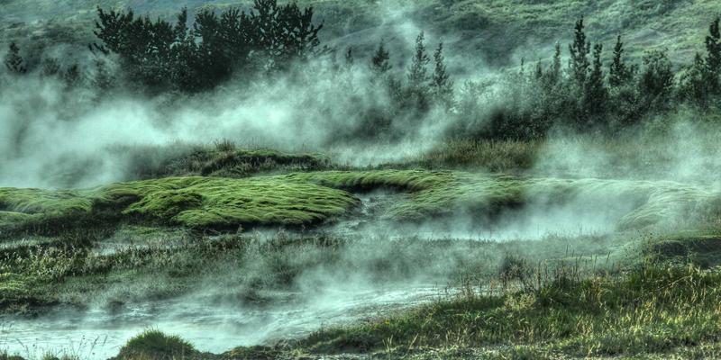 GW21与现代化网络服务：驱动下一代Web开发的核心引擎