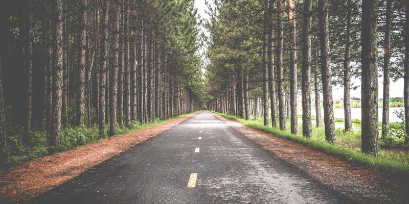 Network Services 25：构建数字未来的核心驱动力与定制化实践