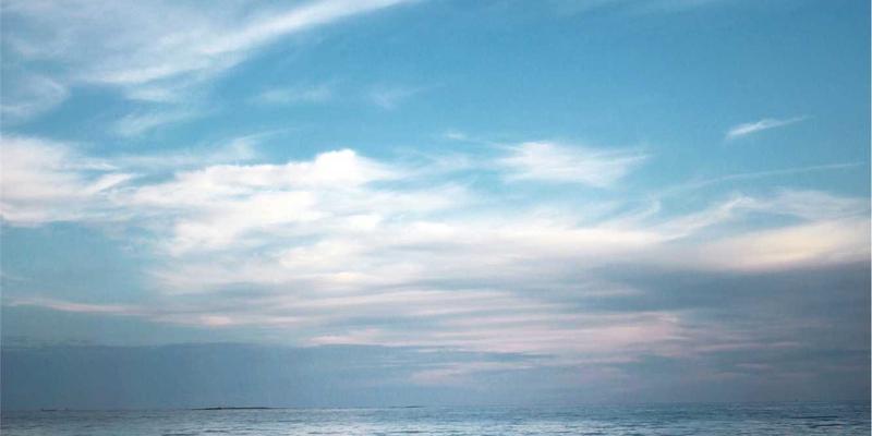 Network Services 61：云解决方案与Web开发的融合之道