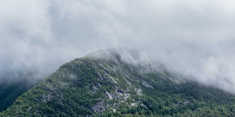 Network Services 67：连接未来的IT解决方案与GW21软件开发的融合之道