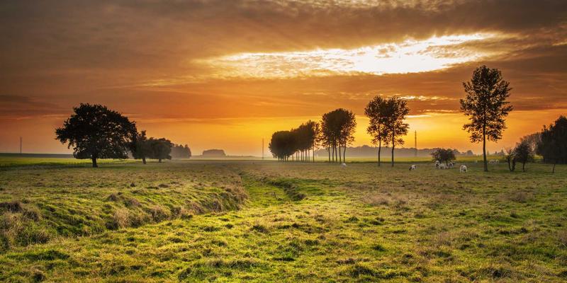 Network Services 6：构建现代企业的IT解决方案、Web开发与云服务融合框架