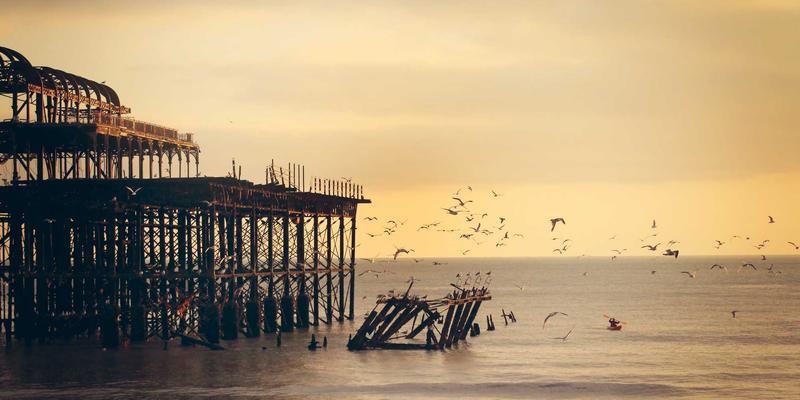 Network Services 78：连接软件与Web开发，打造定制化数字解决方案