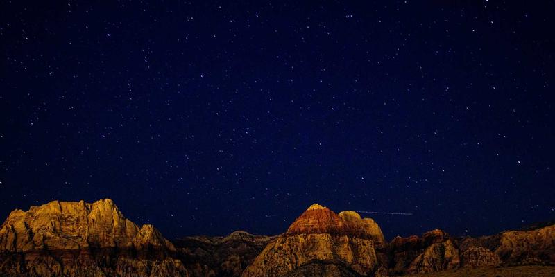 Network Services 79：连接Web开发、GW21与定制软件的数字基石