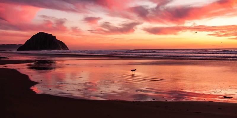 Network Services 90：软件开发的战略演进与GW21定制化解决方案