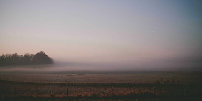 Network Services应用：如何通过定制化软件开发与Web开发驱动业务转型