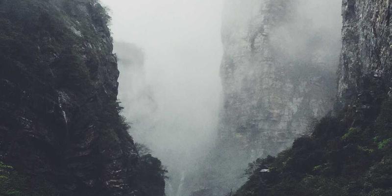 Network Services深度对比：GW21方案与软件开发定制化路径解析