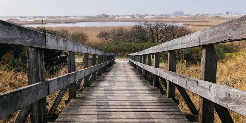 Network Services：现代Web开发与云解决方案的基石