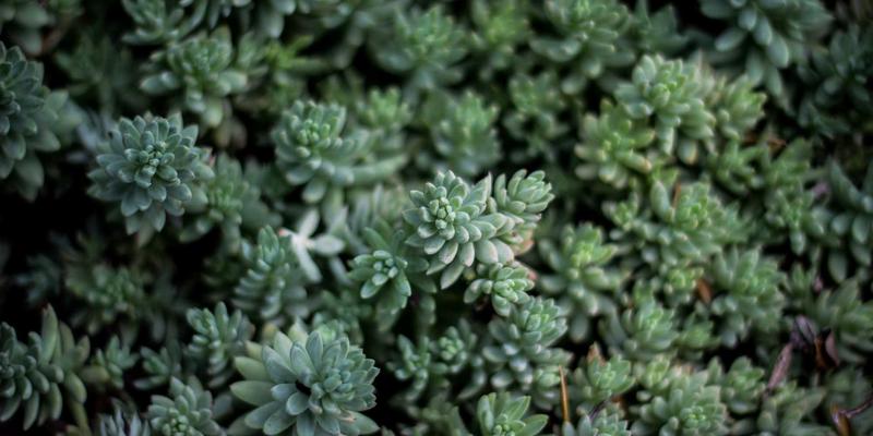 从CAPEX到OPEX：云解决方案如何重塑网络服务消费模式与企业财务战略