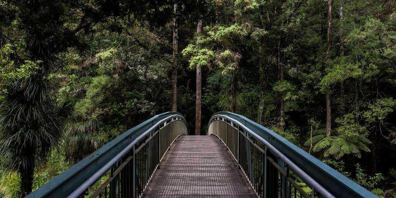 优化企业网络架构：如何通过SD-WAN服务提升分支机构连接性能与IT解决方案效能