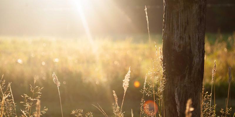 定制软件与网络安全基石：如何通过性能基准测试与SLA为关键业务应用定义可量化的网络服务质量