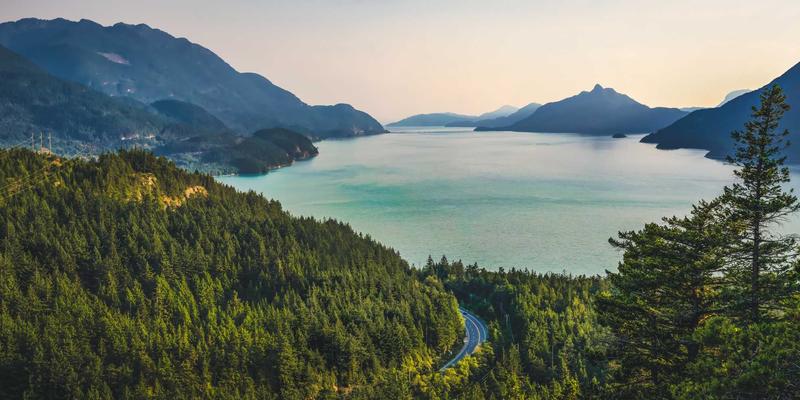 强化数字防线：面向软件开发与Web开发的企业网络安全十大最佳实践