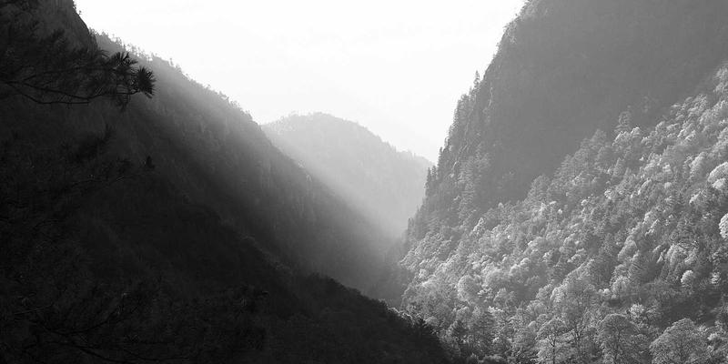 无线网络即服务（WNaaS）：基于云解决方案与定制软件的高性能Wi-Fi设计与托管