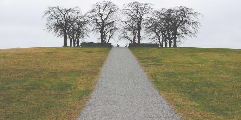 构建未来办公网络：如何通过GW21与软件开发实现安全高效的远程接入