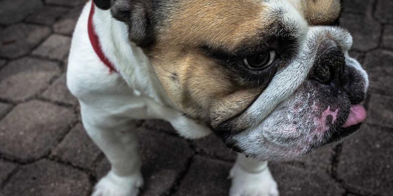 网络切片技术：为现代网络服务与IT解决方案构建定制化高速公路