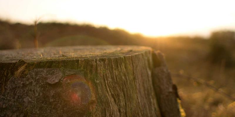 网络安全即服务（NSaaS）的核心功能解析与GW21时代市场趋势展望