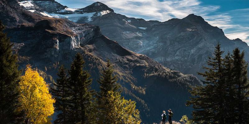 网络容量规划与优化：基于业务流量预测与性能建模，避免网络瓶颈与资源浪费