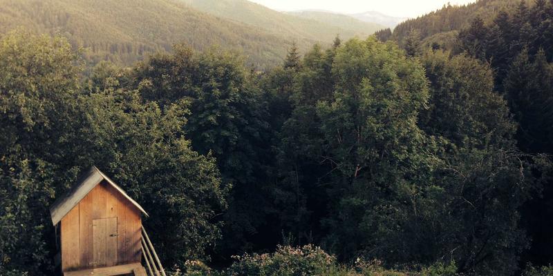 网络服务演进新趋势：云原生、全栈开发与智能化如何重塑软件行业