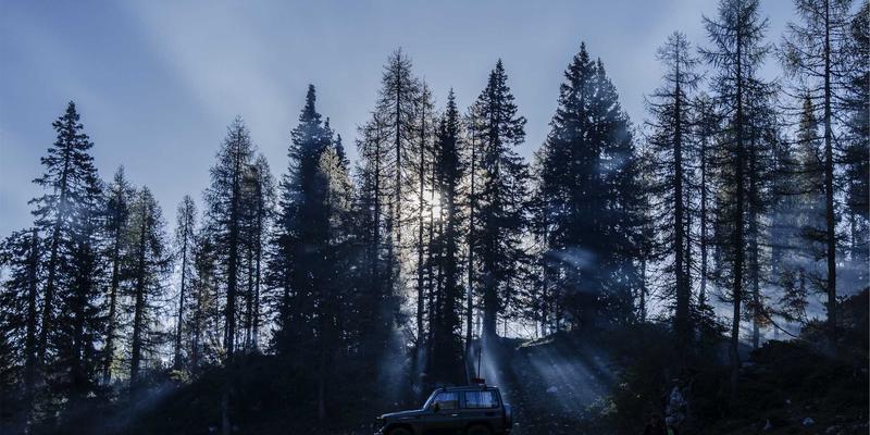 网络服务网格：现代微服务架构中服务发现、安全与流量的统一控制平面